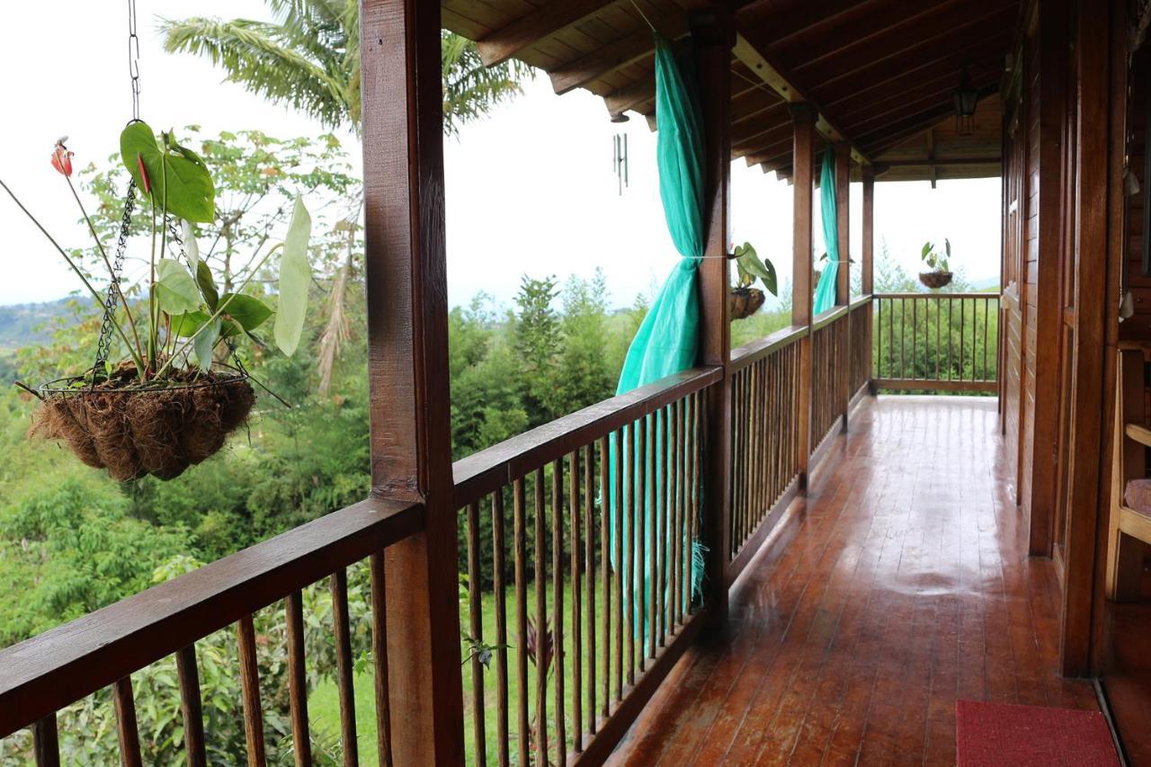 Finca Chalet La Tawa Sevilla  المظهر الخارجي الصورة